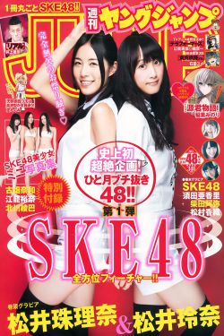 韩语日语电视剧大全